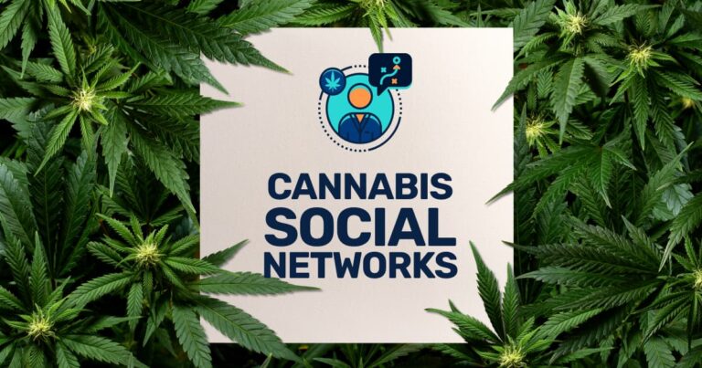 Connecting Entrepreneurs: Cannabis Business Social Network